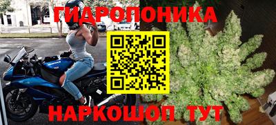 СК Будённовск